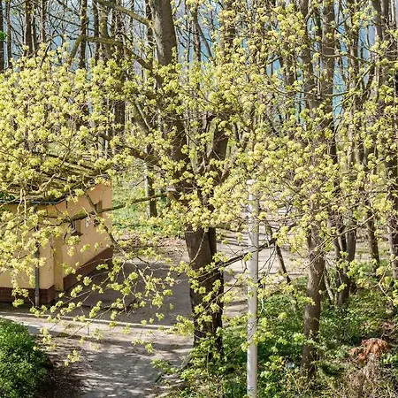 At The - Traumhafte Mit Sauna - 100m Vom דירה רריק