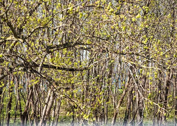 At The - Traumhafte Mit Sauna - 100m Vom רריק