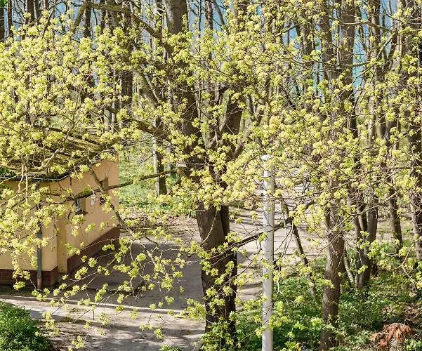 At The - Traumhafte Mit Sauna - 100m Vom דירה רריק